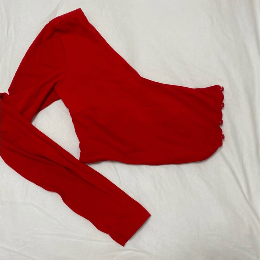 Tigermist: Red Crop Top